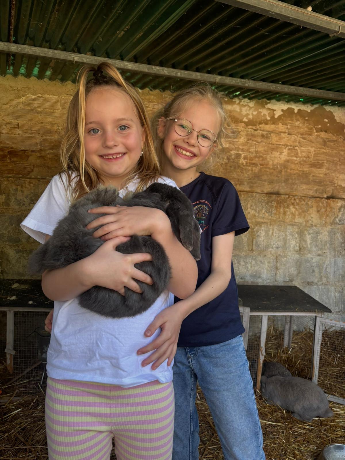 Children connecting with animals at Mini AIM